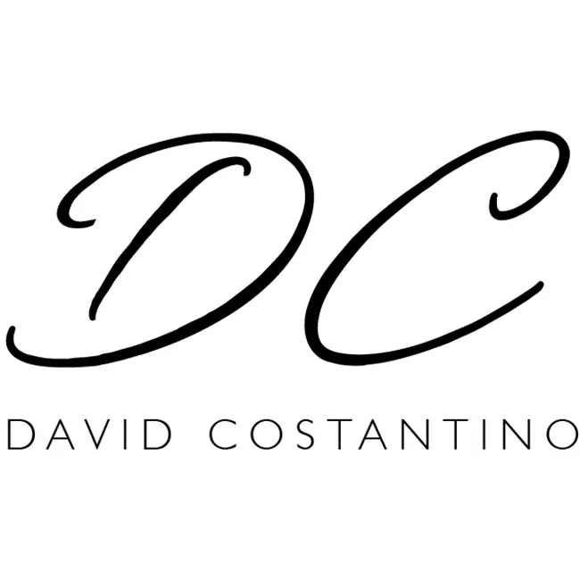 david costantino web agency studios